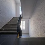 Queen Barbora Lofts Apartment Kaunas