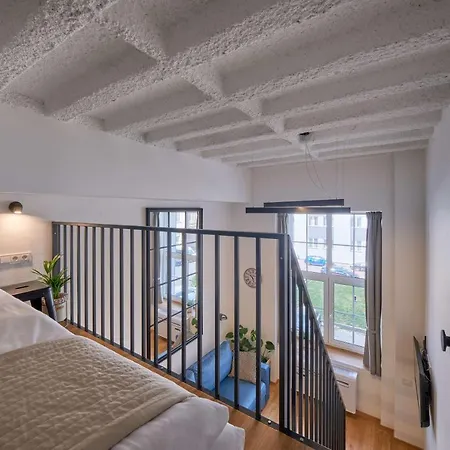 Queen Barbora Lofts 公寓 *