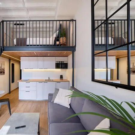 Queen Barbora Lofts 公寓 *