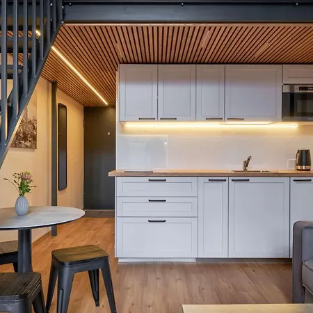 Apartment Queen Barbora Lofts Kaunas