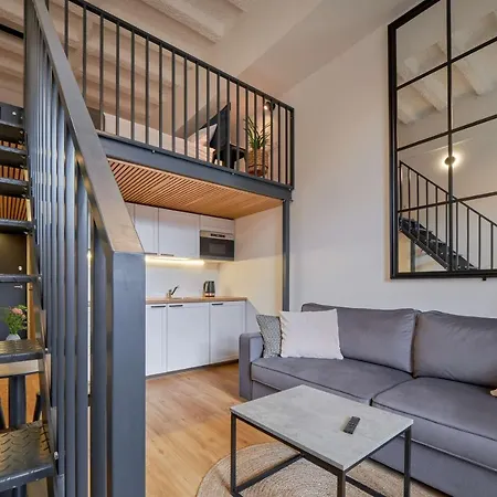 Queen Barbora Lofts 考纳斯